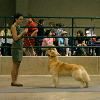 CH Windjammer Goldens Tight Fitting Jeans RN_Photo credit to Glenn Fuqua